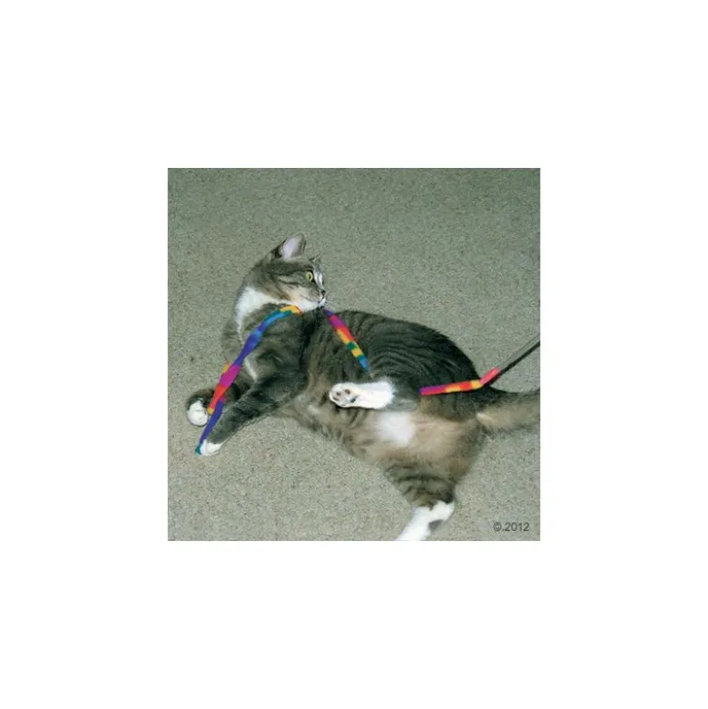 Cat Charmer