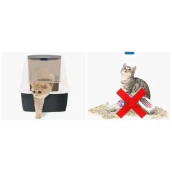 Catit Magic Blue