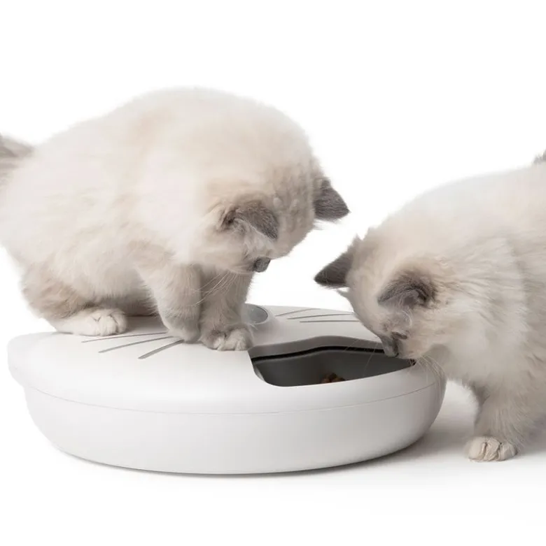 Catit Pixi Smart 6-Meal -ruokinta-automaatti