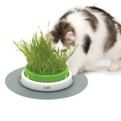 Catit Senses 2.0 -ruohoalusta
