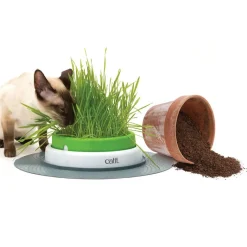 Catit Senses 2.0 -ruohoalusta