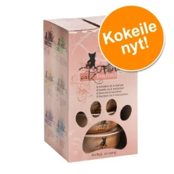 Catz Finefood Fillets -tutustumispakkaus 6 x 85 g