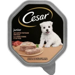 Cesar Junior -rasiat 28 x 150 g