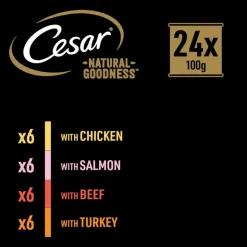 Cesar Natural Goodness Superfoods viljaton 48 x 100 g