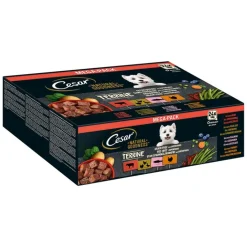 Cesar Natural Goodness Superfoods viljaton 48 x 100 g