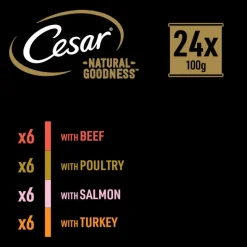 Cesar Natural Goodness Superfoods viljaton 48 x 100 g