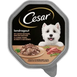 Cesar-rasiat säästöpakkaus 28 x 150 g