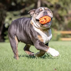 CHUCKIT! Air Fetch Football