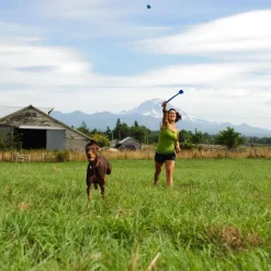 Chuckit! Ball Launcher Sport
