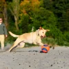 Chuckit! Kick Fetch