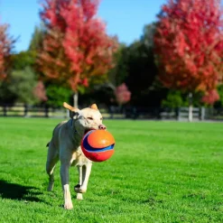 Chuckit! Kick Fetch