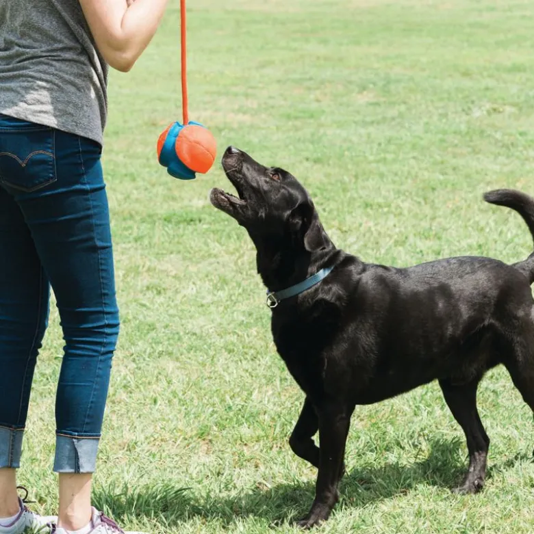 Chuckit! Rope Fetch