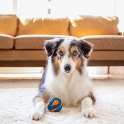 Chuckit! Ultra Ball