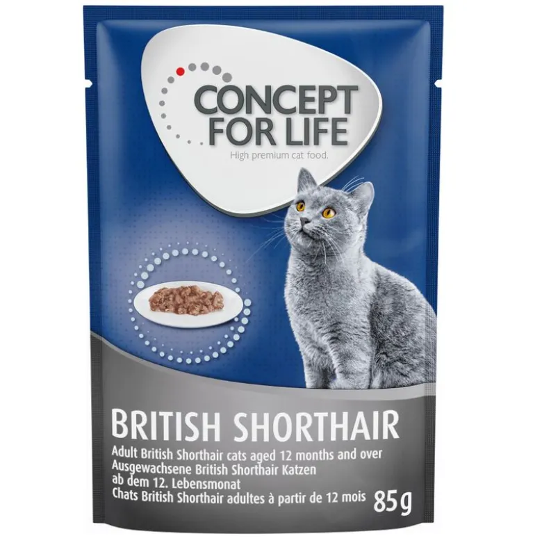 Concept for Life British Shorthair Adult - paranneltu koostumus!