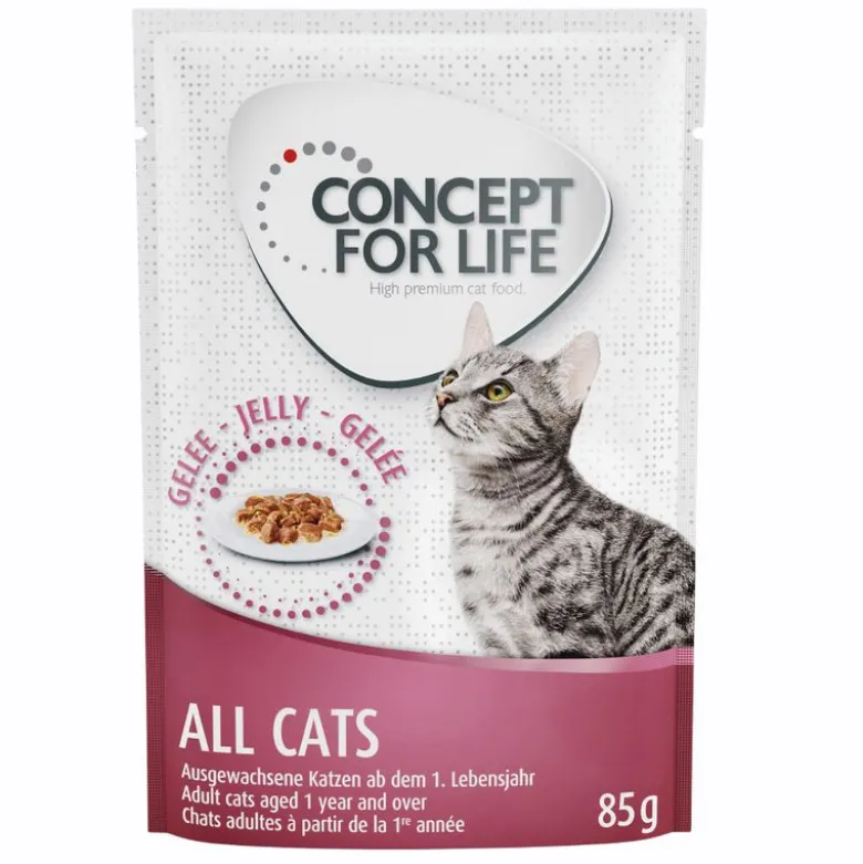 Concept for Life Indoor Cats - paranneltu koostumus!
