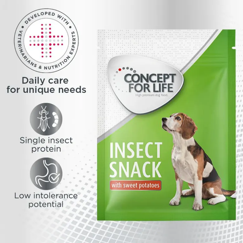 Concept for Life Insect Snack bataatti