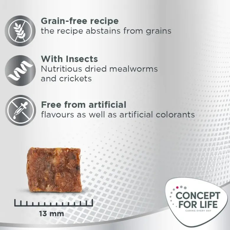 Concept for Life Insect Snack bataatti