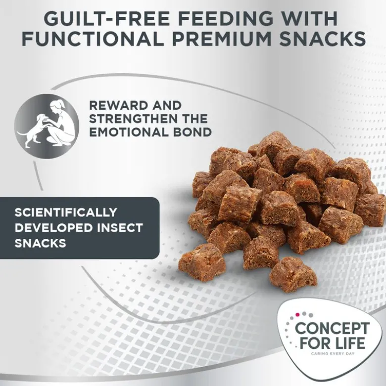 Concept for Life Insect Snack bataatti