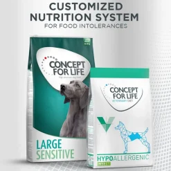 Concept for Life Insect Snack bataatti