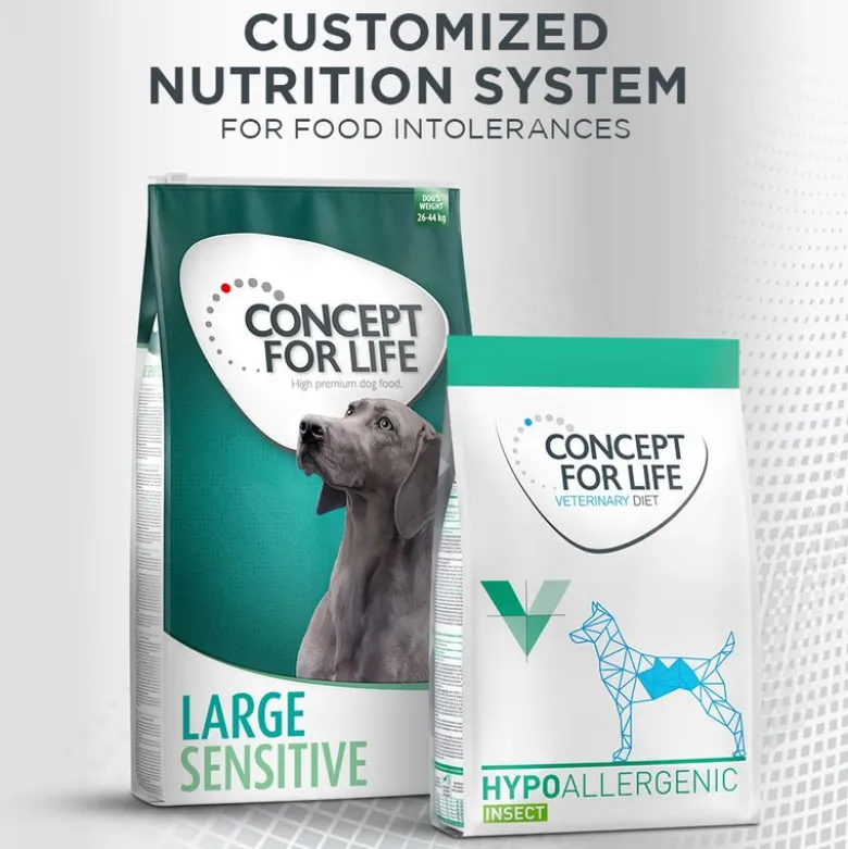 Concept for Life Insect Snack bataatti