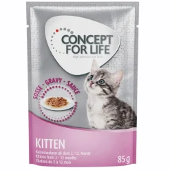 Concept for Life Kitten - in Gravy