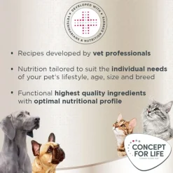 Concept for Life Labrador Retriever Adult