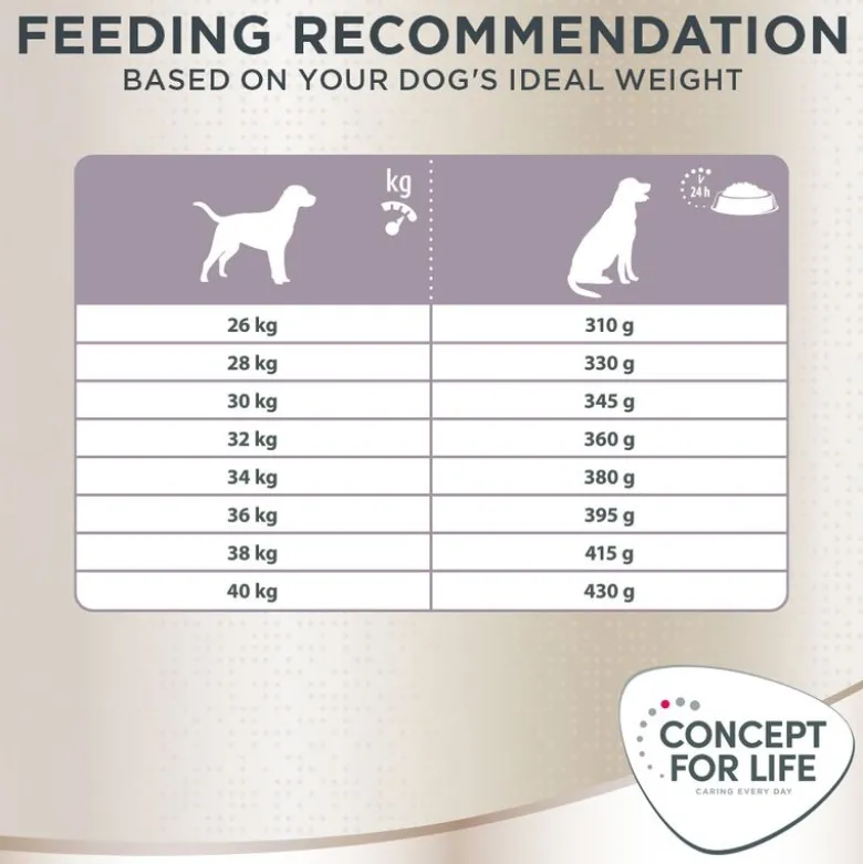 Concept for Life Labrador Sterilised