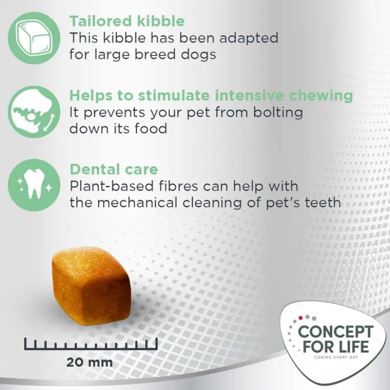 Concept for Life Large Sensitive