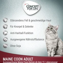 Concept for Life Maine Coon Adult Ragout