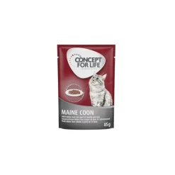 Concept for Life Maine Coon Adult Ragout