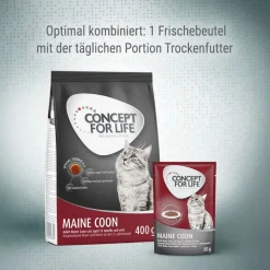 Concept for Life Maine Coon Adult Ragout