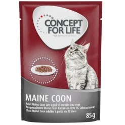 Concept for Life Maine Coon Adult Ragout