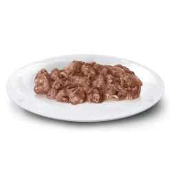 Concept for Life Maine Coon Adult Ragout