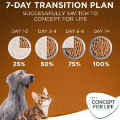 Concept for Life Medium Adult