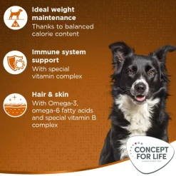 Concept for Life Medium Adult