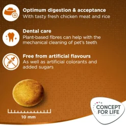 Concept for Life Medium Adult