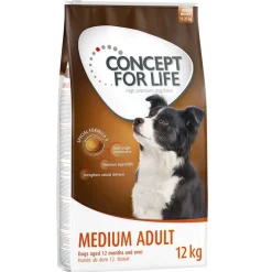 Concept for Life Medium Adult