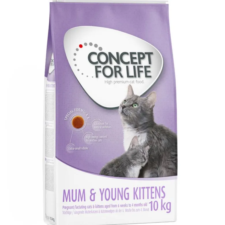 Concept for Life Mum & Young Kittens – Parannettu resepti!
