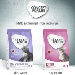 Concept for Life Mum & Young Kittens – Parannettu resepti!
