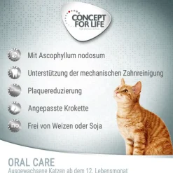 Concept for Life Oral Care