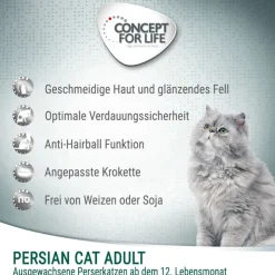 Concept for Life Persian Adult – parannettu koostumus!