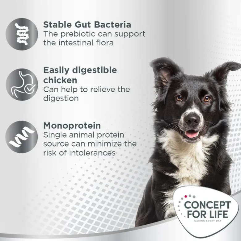 Concept for Life Prebiotic Snack kana