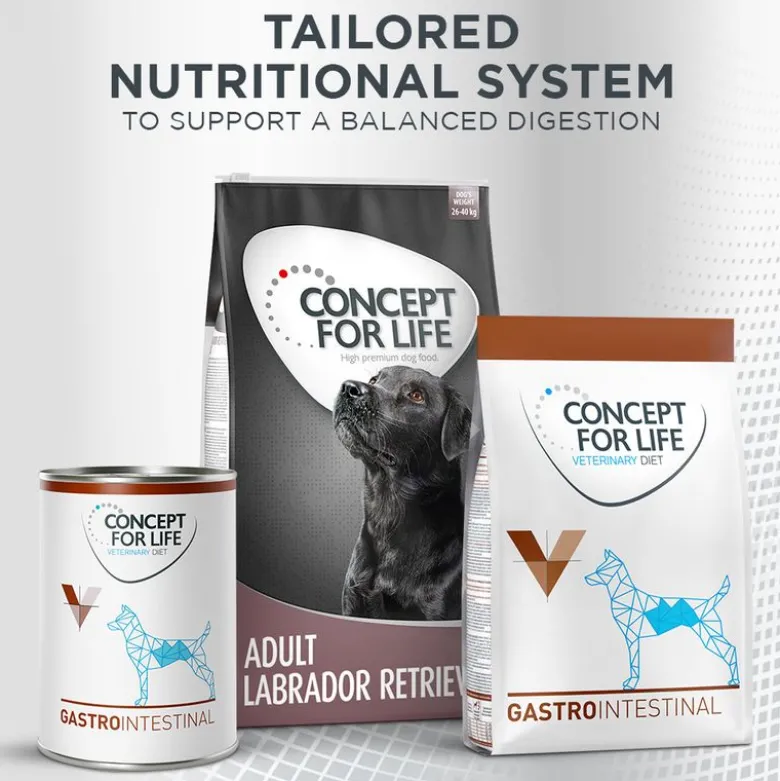 Concept for Life Prebiotic Snack kana