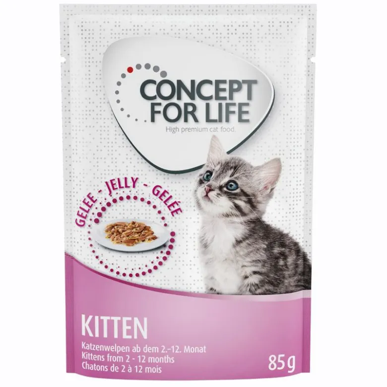 Concept for Life -säästöpakkaus 24 x 85 g