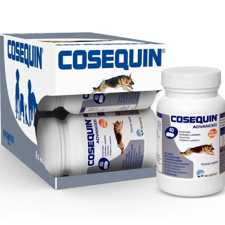 Cosequin Advance Dog