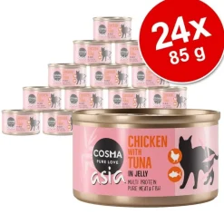 Cosma Asia hyytelössä -säästöpakkaus 24 x 85 g