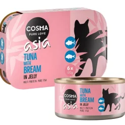 Cosma Asia hyytelössä -säästöpakkaus 24 x 170 g