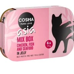 Cosma Asia hyytelössä -säästöpakkaus 24 x 170 g
