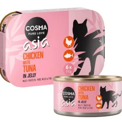 Cosma Asia hyytelössä -säästöpakkaus 24 x 170 g