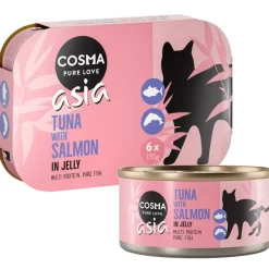 Cosma Asia hyytelössä -säästöpakkaus 24 x 170 g